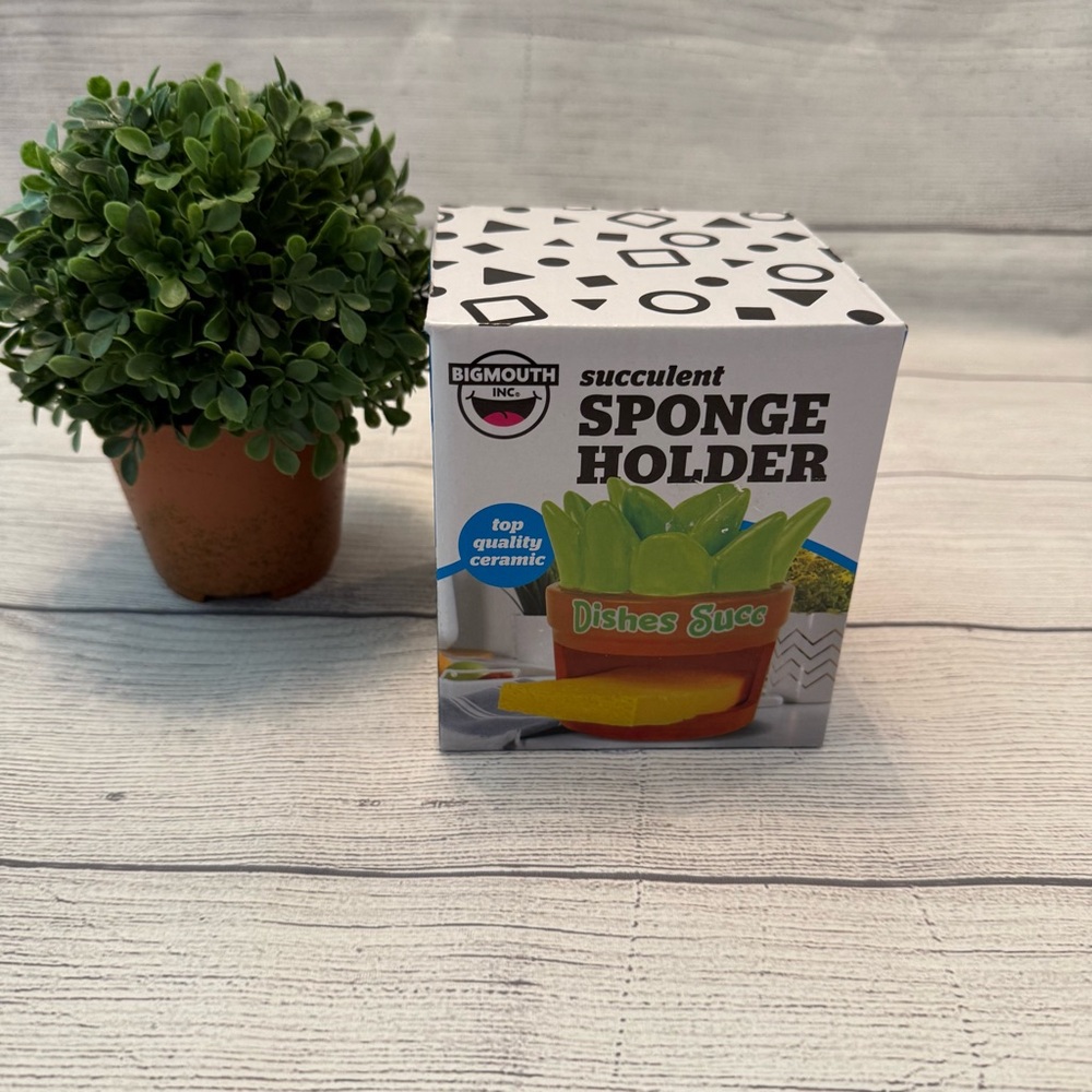 BigMouth Inc. Green and Yellow Succulent Sponge Holder